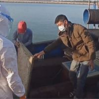 中國漁船闖金門海域捕撈 海巡強制登船逮人