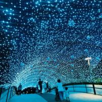 外帶東京到臺北！2020出口音樂節 把東京聖誕點燈搬來了！
