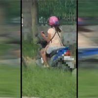 胸前背嬰兒騎車滑手機 母危險駕駛 網直呼誇張