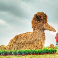 「農村風」重磅回歸！12/5三重鴨鴨公園YOYO家族同樂 免費玩3米“巨”蛋機