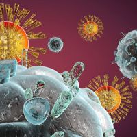 免疫細胞對抗新冠肺炎 美權威研究：臍帶血中最多