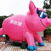 【有影】國民黨：開放萊豬換利一場空 蔡政府要國人白吞是何居心
