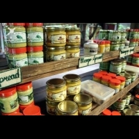 「菲」遊薄荷／米其林星級養生餐 蜜蜂農場開心甜