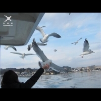 瘋東北／日本第一冷冰上釣魚 乘風破浪餵海鷗