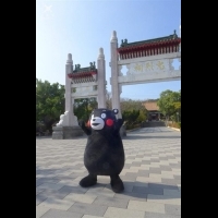 熊本KUMAMON客串觀光大使 與高雄「熊」麻吉