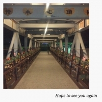 (嘉義)愛嘉檜心鎖橋|旅遊夜市趴趴走