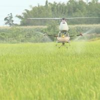 台灣發展永續農業 「化學農藥10年減半」展政績