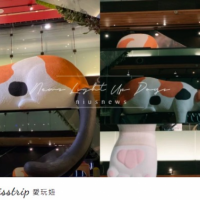 「大型貓咪」進駐台中綠園道快閃1個月!貓慵懶躺在樑柱上,5大看點一次看