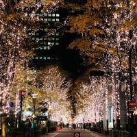 越夜越美麗的迷人冬季燈飾~【東京】不夜城之閃亮亮夜晚景點精選