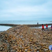保存新屋石滬文化　打造海岸生態旅遊新亮點