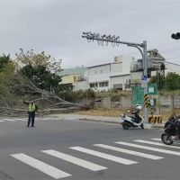 天冷風大 台南永康路樹倒塌占據車道