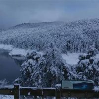 無敵雪景就在太平山 遊客驚呼一秒到北海道