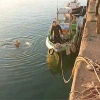 廂型車突然衝進漁港 救起50歲男子搶救