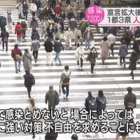 日本擴大緊急狀態首個週末 各地人潮仍洶湧