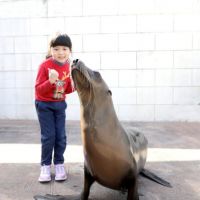 國內旅遊正夯；民眾首選花蓮　海洋公園加碼『紅衣小童免費入園』