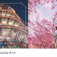2021櫻花季景點推薦！特蒐全台5大賞櫻圖鑑，開啟一趟浪漫仙境之旅吧！