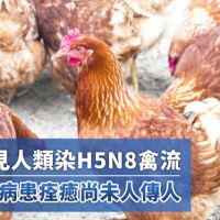 全球首見人類染H5N8禽流 俄羅斯7病患痊癒尚未人傳人