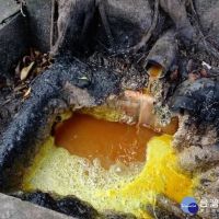 五股坑溪遭油脂污染　環保稽查員揪出調理包工廠