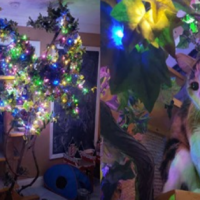 超暖心！因家中老貓超愛聖誕節，牠的家人給了牠一棵「全年聖誕樹」讓牠開心！