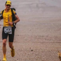 流浪狗狗自告奮勇陪跑完極限馬拉松後失蹤，超暖選手橫跨半個地球也要找到牠！