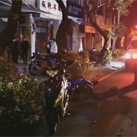 中市台灣大道行道樹斷落 兩騎士撞上受傷