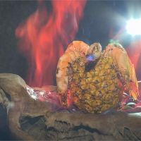免驚! 國內鳳梨料理多 「火燒鳳梨蝦」令人驚豔