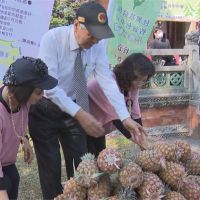 228追思會 台灣國認購400顆鳳梨挺果農