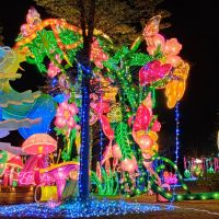 佛光山2021年春節平安燈會今日圓滿 明起至12號開放到晚上八點