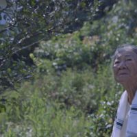 《綠色牢籠》紀錄台灣礦工的血與淚 導演魏德聖力挺支持