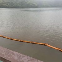 花蓮鯉魚潭被染紅 東華大學調查：無毒藻類