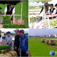 開創農業新契機　壯圍擴大種植日本越光米