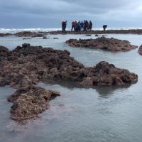 快新聞／陳吉仲週一邀環團溝通藻礁議題 「珍愛藻礁」工作小組：不參加