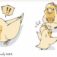 鳥寶到底在想什麼?最誠實的鸚鵡行為百科 #啾啾真心話