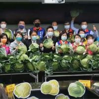 台南市議會攜手企業 收購9萬斤高麗菜免費送