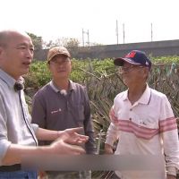 韓國瑜關注鳳梨農為復出? 連勝文讚「非常敬佩」