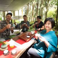 阿里山四季茶旅 首創全國線上旅展行銷 深度體驗阿里山各式風情
