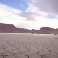 全球／1200年來最嚴重！美西面臨「特大乾旱」