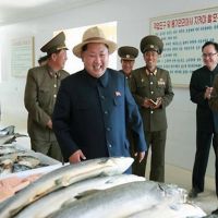 鮭魚之亂／北韓半官方粉專也參戰