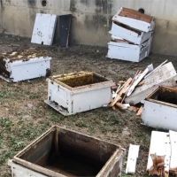 蜂箱貨車自撞釀禍！ 上千蜜蜂竄出滿天飛