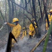 阿里山森林大火原因 林管處：暫無證據但和這因素有極大關聯