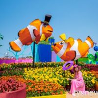 彩色海芋季盛大舉行 美麗花海吸引遊客拍照打卡