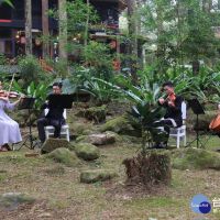 台灣交響樂團結合溪頭在地小茶藝師　共譜初夏茶與音樂饗宴
