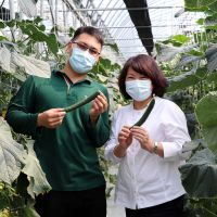 科技栽種小黃瓜 獲數位創新首獎拿百萬獎金