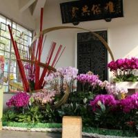 2021台灣國際蘭展　將以遍地開花形式開展