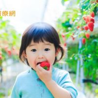 水果健康拼命吃？　營養師揭兒童攝取原則
