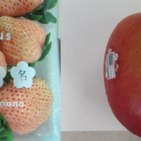 好市多「美國富士蘋果」連兩周遭逮出包！ 熊本白草莓查出禁用農藥