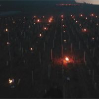 負5度春寒恐影響葡萄產量 法農民點數百支蠟燭除霜