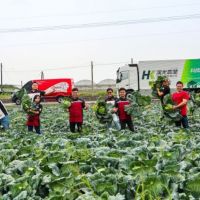 印地安與漢光挺台灣農民 採購10噸高麗菜廣邀重機騎士做公益