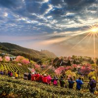 台灣超美的八大太陽美景 找到你心中的太陽一起去旅行