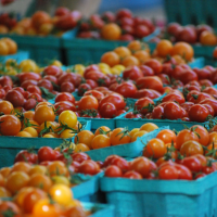 人權考量 日本可果美停用「新疆番茄」